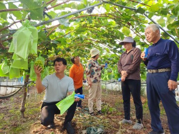 샤인머스켓 장기저장 기술 및 고품질 재배 고령군 교육 실시