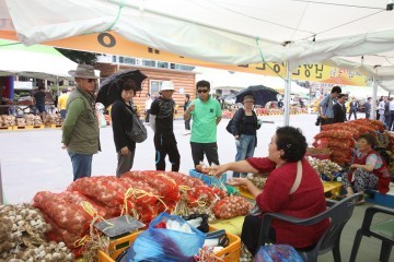 단양 육쪽마늘 저렴하게 들여 가세요.