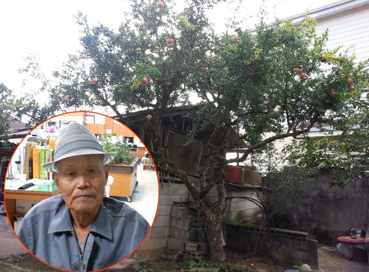 산청 이용이 씨 불우이웃돕기 성금 기탁