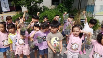 상2동, 채송화 나눔을 통한 아름다운 상상마을 만들기