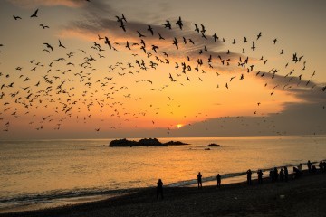경주시2018년 해맞이 명소 안내