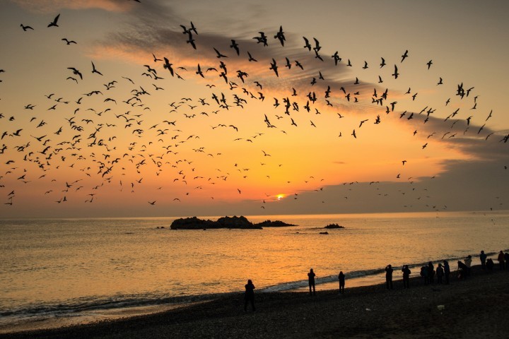경주시2018년 해맞이 명소 안내