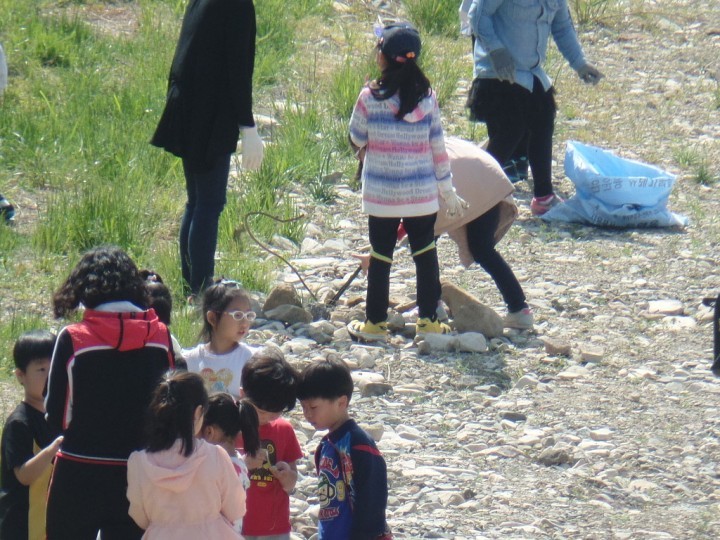 클린 남창천 환경정화 활동