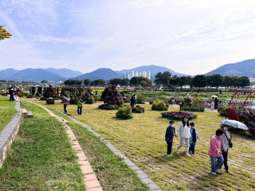 장성군, ‘장성 황룡강 가을꽃축제’ 나흘간 15만 명 찾아
